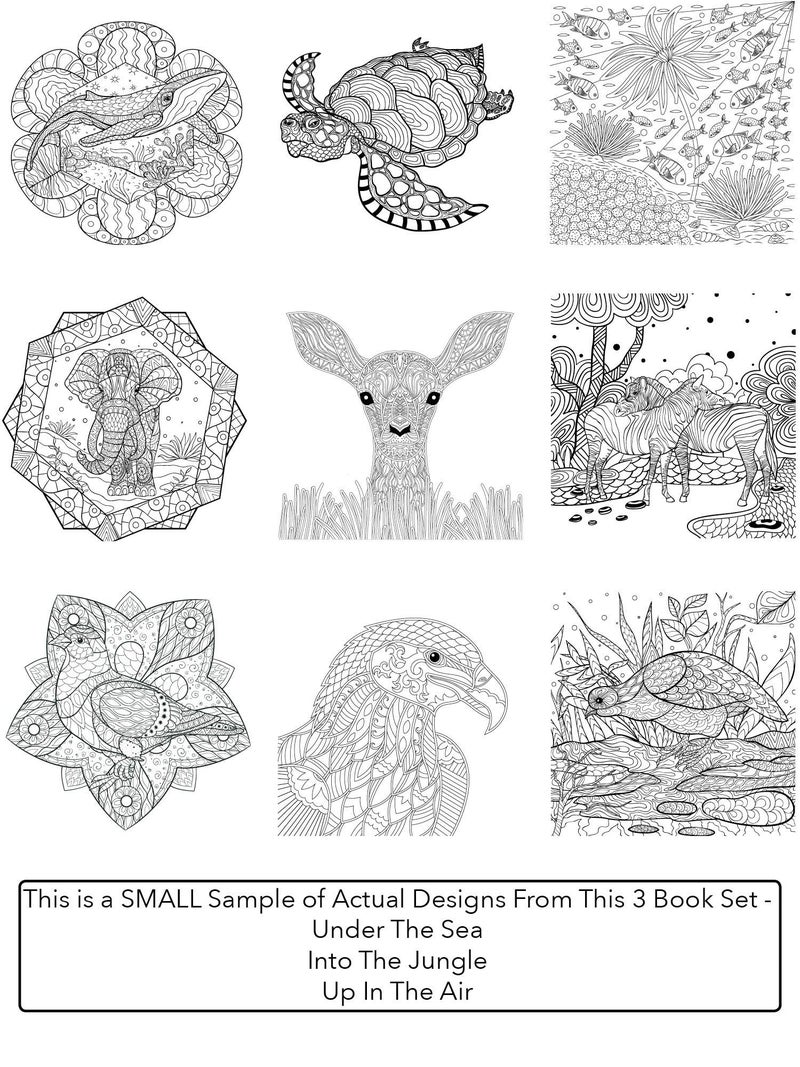Creatively Calm Studios Adult Coloring Books Set.Three Books! Designs from The Sky, Land & Sea. Coloring Books for Adults Relaxation - Image 3